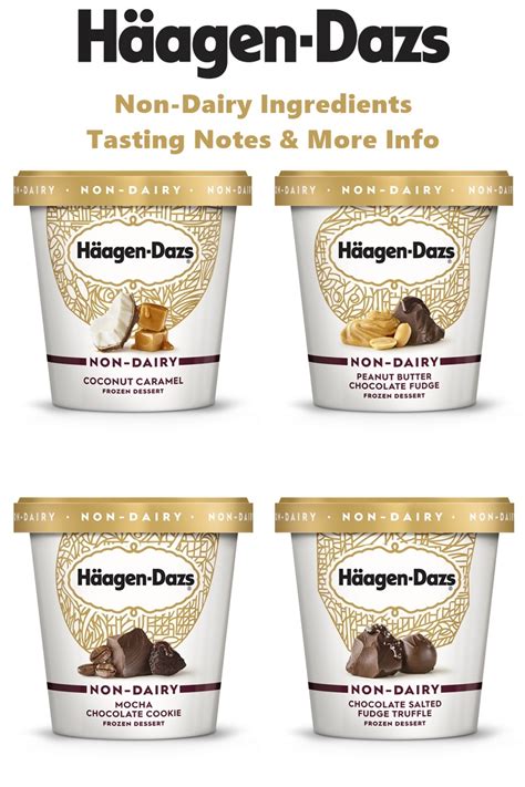 haagen dazs non dairy.